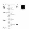 Thumbnail Image 2 of 2 CT. T.W. Princess-Cut Black Diamond Solitaire Stud Earrings in 10K White Gold