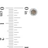 Thumbnail Image 2 of 1/8 CT. T.W. Champagne and White Diamond Composite Frame Stud Earrings in 10K Rose Gold