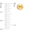 Thumbnail Image 2 of 8.0mm Ball Stud Earrings in 14K Gold