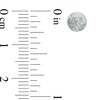 6.0mm Textured Ball Stud Earrings in 14K White Gold