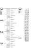 Thumbnail Image 2 of 1 CT. T.W. Diamond Oval Hoop Earrings in 10K White Gold