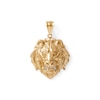 Thumbnail Image 0 of Diamond-Cut Tiger Head Charm in Solid 10K Gold