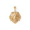 Thumbnail Image 1 of Diamond-Cut Tiger Head Charm in Solid 10K Gold