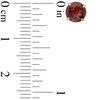 Thumbnail Image 2 of 6.0mm Lab-Created Garnet Stud Earrings in 14K Gold
