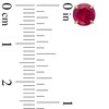 Thumbnail Image 2 of 6.0mm Lab-Created Ruby Stud Earrings in 14K Gold