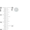 Thumbnail Image 2 of 1/4 CT. T.W. Composite Diamond Stud Earrings in 10K White Gold