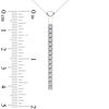 Thumbnail Image 2 of Line of Love™ 1 CT. T.W. Diamond Pendant in 10K White Gold