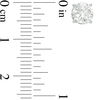 Thumbnail Image 2 of 1-1/2 CT. T.W. Diamond Solitaire Stud Earrings in 14K White Gold