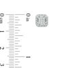 1/3 CT. T.W. Princess-Cut Diamond Frame Stud Earrings in 10K Gold