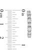 Thumbnail Image 2 of 1/2 CT. T.W. Diamond Hoop Earrings in 10K White Gold
