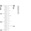 Thumbnail Image 2 of 1/20 CT. T.W. Diamond Huggie Hoop Earrings in 14K White Gold