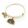 Thumbnail Image 1 of Alex and Ani Guardian of Healing Charm Bangle in Gold-Tone Brass