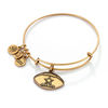 Thumbnail Image 1 of Alex and Ani Dallas Cowboys Football Charm Bangle in Gold-Tone Brass