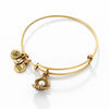 Thumbnail Image 1 of Alex and Ani Oyster Charm Bangle in Gold-Tone Brass