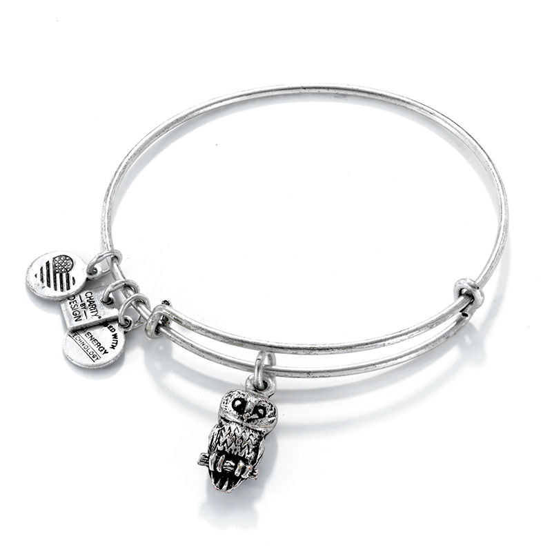Main Image 1 of Alex and Ani Ode to the Owl Charm Bangle in Silver-Tone Brass