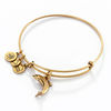 Thumbnail Image 1 of Alex and Ani Dolphin Charm Bangle in Gold-Tone Brass