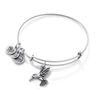 Thumbnail Image 1 of Alex and Ani Hummingbird Charm Bangle in Silver-Tone Brass