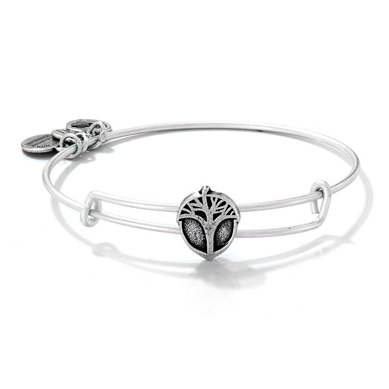 Main Image 1 of Alex and Ani Unexpected Miracles Tree Slider Charm Bangle in Silver-Tone Brass