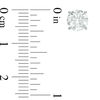 Thumbnail Image 2 of 2 CT. T.W. Diamond Solitaire Stud Earrings in 14K White Gold