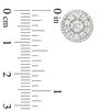 1 CT. T.W. Diamond Double Frame Stud Earrings in 10K White Gold