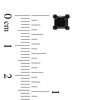 Men's 1-1/2 CT. T.W. Black Diamond Solitaire Stud Earrings in Stainless Steel with Black IP