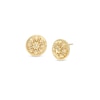 Thumbnail Image 0 of Made in Italy Citrus Button Stud Earrings in 14K Gold