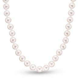 6.0-6.5mm Cultured Akoya Pearl Strand Necklace with 14K White Gold Filigree Clasp