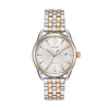 Thumbnail Image 0 of Ladies' Drive from Citizen Eco-Drive® LTR Two-Tone Watch with Silver-Tone Dial (Model: FE6086-74A)