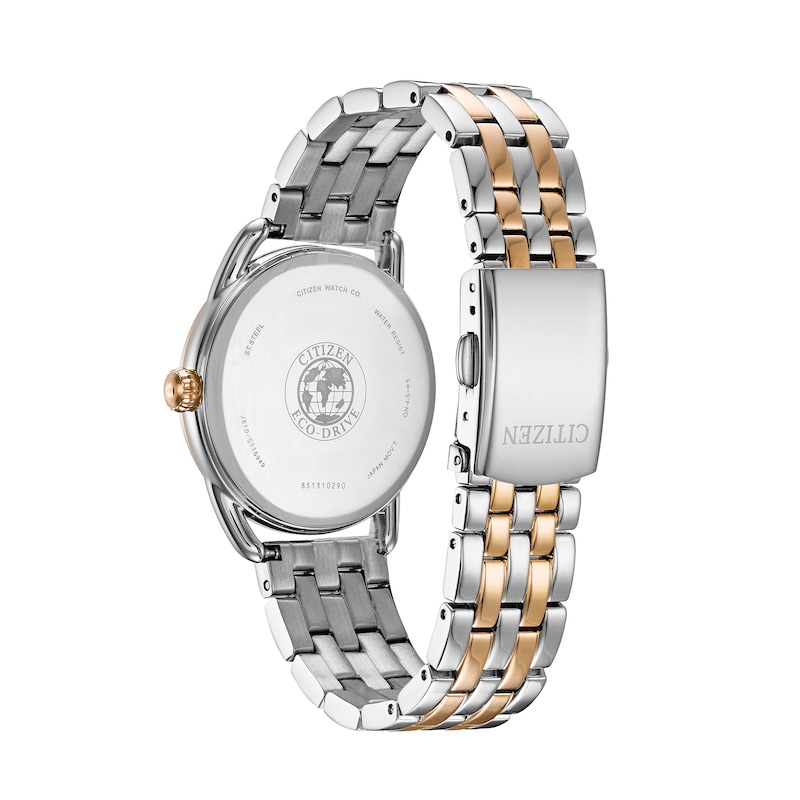 Ladies' Drive from Citizen Eco-Drive® LTR Two-Tone Watch with Silver-Tone Dial (Model: FE6086-74A)
