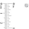 Thumbnail Image 2 of 1/4 CT. T.W. Certified Diamond Solitaire Stud Earrings in 14K White Gold ( I/VS2)