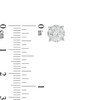 Thumbnail Image 3 of 1/2 CT. T.W. Multi-Diamond Frame Stud Earrings in 10K White Gold
