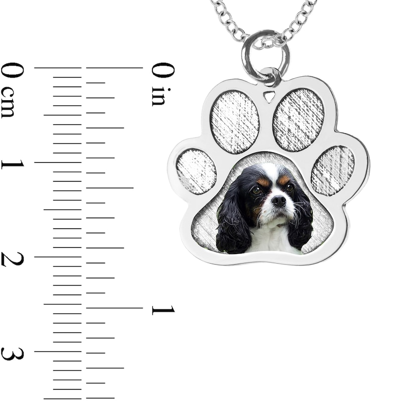 Engravable Photo Textured Paw Print Pet Pendant in 14K White, Yellow or Rose Gold (1 Image and 2 Lines)