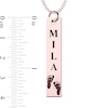 Thumbnail Image 3 of Engravable Name Baby Footprint Vertical Bar Pendant in 14K White, Yellow or Rose Gold (1 Image and 2 Lines)