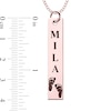 Thumbnail Image 4 of Engravable Name Baby Footprint Vertical Bar Pendant in 14K White, Yellow or Rose Gold (1 Image and 2 Lines)