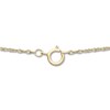 Thumbnail Image 3 of 1/10 CT T.W. Diamond "R" Initial Pendant in 10K Gold