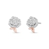 Enchanted Disney Belle 1/5 CT. T.W. Diamond Rose Stud Earrings in Sterling Silver and 10K Rose Gold