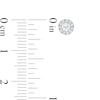 Thumbnail Image 3 of 1/4 CT. T.W. Diamond Frame Stud Earrings in 14K White Gold (I/I2)