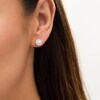 Thumbnail Image 2 of 1 CT. T.W. Diamond Frame Stud Earrings in 14K White Gold (I/I2)