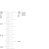 Thumbnail Image 2 of 1/10 CT. T.W. Diamond Solitaire Stud Earrings in 14K White Gold (J/I2)