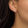 &nbsp;