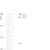 Thumbnail Image 2 of 3/8 CT. T.W. Princess-Cut Diamond Solitaire Stud Earrings in 14K Gold (J/I3)