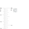 Thumbnail Image 2 of 2 CT. T.W. Diamond Solitaire Stud Earrings in 14K White Gold (J/I2)