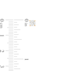 Thumbnail Image 2 of 1/2 CT. T.W. Diamond Solitaire Stud Earrings in 14K Gold (J/I2)