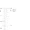 Thumbnail Image 2 of 1 CT. T.W. Diamond Solitaire Stud Earrings in 14K White Gold (J/I2)