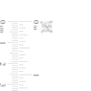 Thumbnail Image 2 of 1 CT. T.W. Princess-Cut Diamond Solitaire Stud Earrings in 14K White Gold (J/I2)