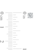 Thumbnail Image 2 of 1/2 CT. T.W. Certified Lab-Created Diamond Solitaire Stud Earrings in 14K White Gold (F/SI2)