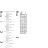 Thumbnail Image 1 of 1 CT. T.W. Diamond Multi-Row Hoop Earrings in Sterling Silver