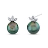 Thumbnail Image 0 of 9.0mm Black Cultured Tahitian Pearl and 1/20 CT. T.W. Diamond Leaf-Top Stud Earrings in 14K White Gold