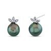 Thumbnail Image 1 of 9.0mm Black Tahitian Cultured Pearl and 1/20 CT. T.W. Diamond Leaf-Top Stud Earrings in 14K White Gold