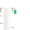 Thumbnail Image 3 of Oval Emerald and 1/20 CT. T.W. Diamond Stud Earrings in 10K Gold